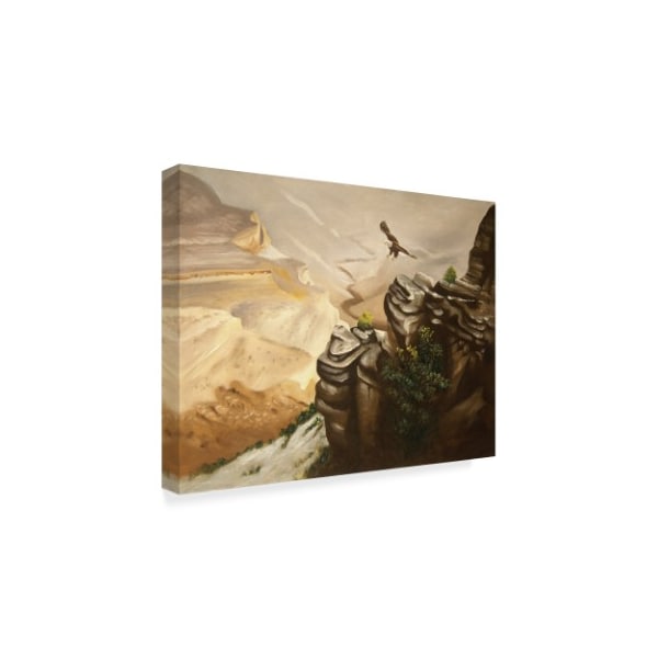 D. Rusty Rust 'Flying Eagle' Canvas Art,14x19